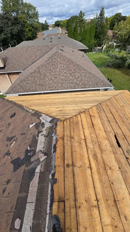 Shingle roof on an Etobicoke property