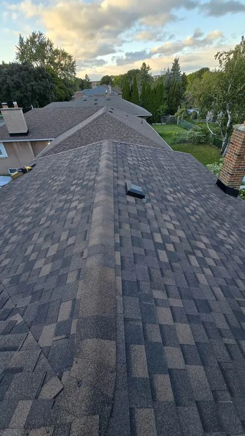 Shingle roof on an Etobicoke property